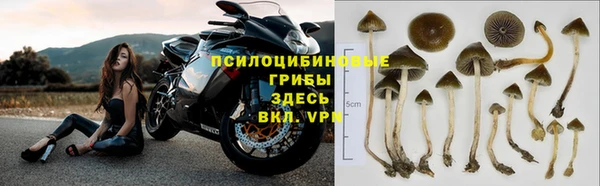 прущие крисы Верхнеуральск