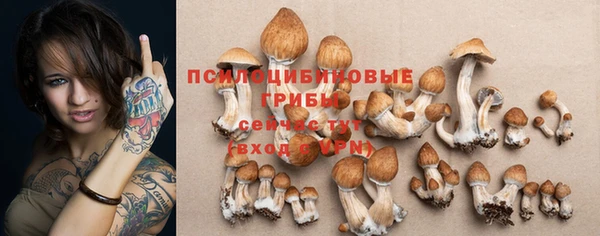 ГАЛЛЮЦИНОГЕННЫЕ ГРИБЫ Бронницы