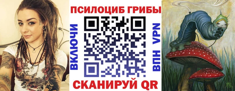 как найти наркотики  KRAKEN ссылка  Псилоцибиновые грибы Psilocybe  Ветлуга 